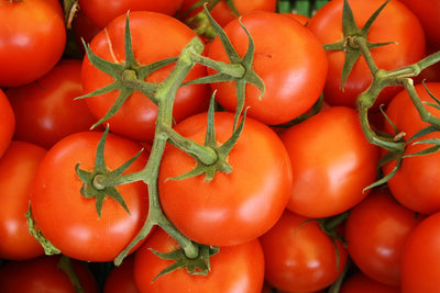 Une deuxième recette salée pour Vitaline, à la tomate !